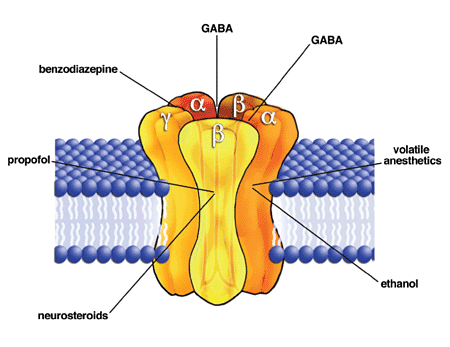 Drugs Targeting Cell Membrane Receptors – CoMo Science