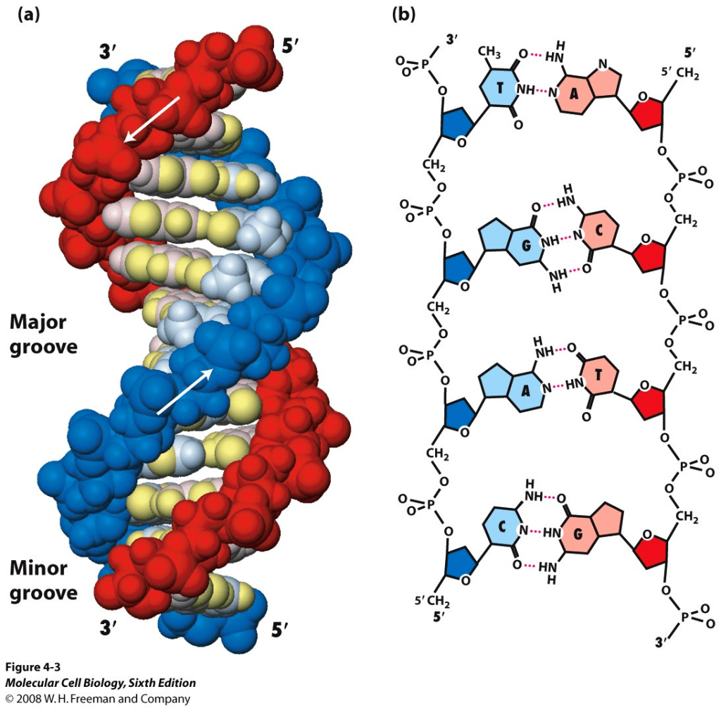What is this?&nbsp;010