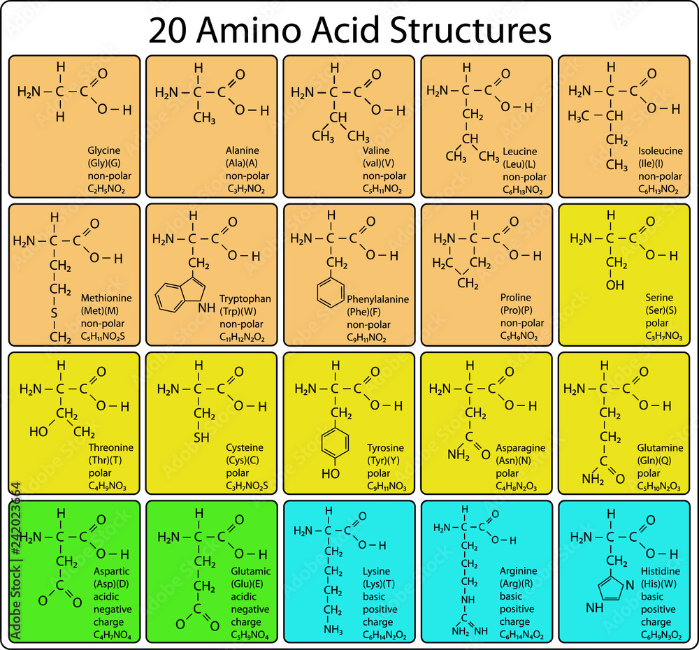 Polymers (Basic science review) – CoMo Science
