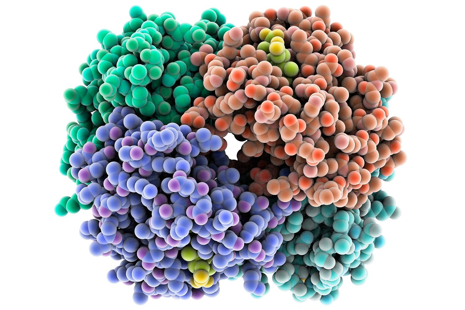 Molecular diagrams (Basic science review) – CoMo Science