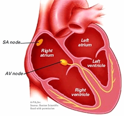 What is this?&nbsp;001