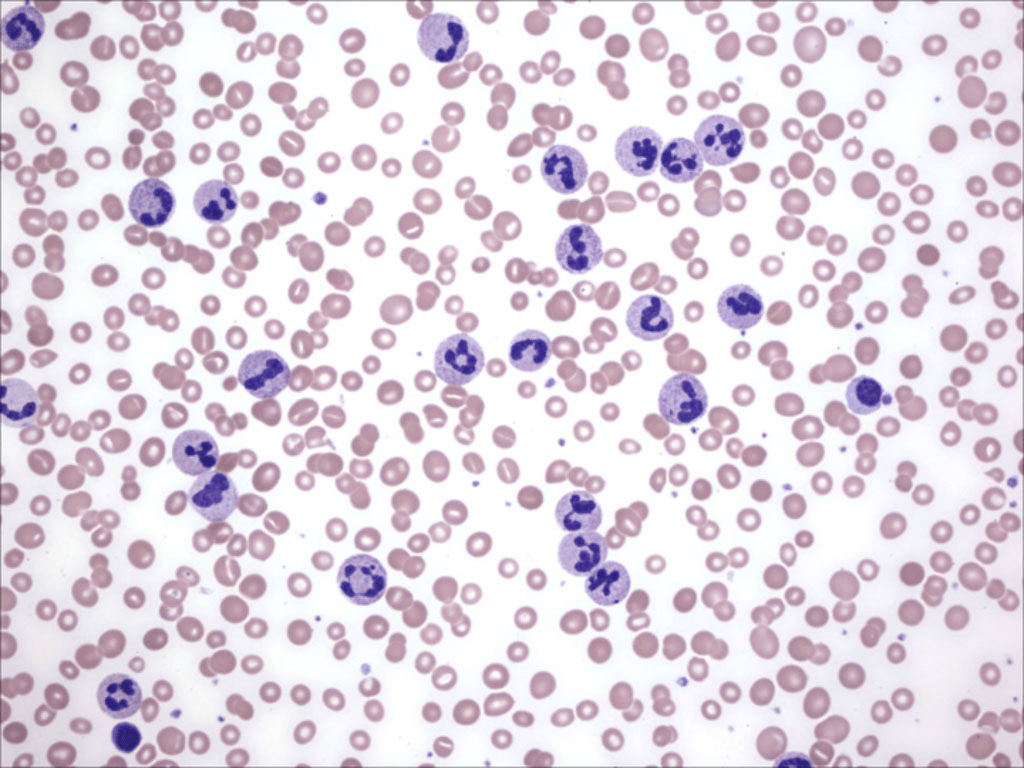 What is this?&nbsp;009