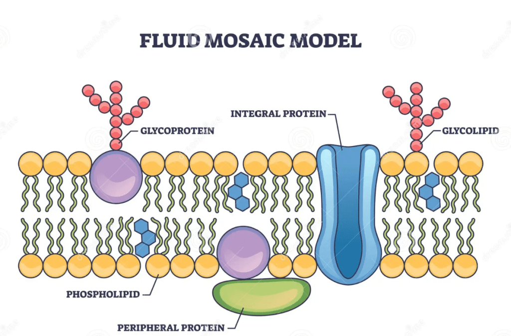 What is this?&nbsp;013